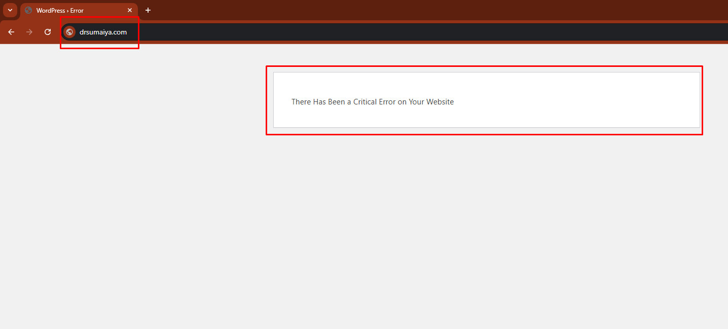 Critical Error on Website