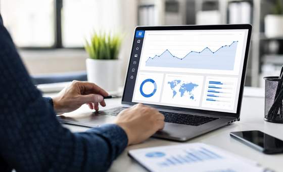 Search Engine Ranking Growth Chart